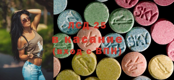 гашик Няндома