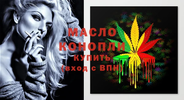 гашик Няндома