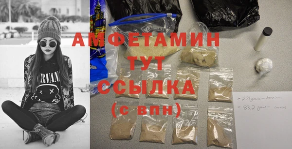гашик Няндома