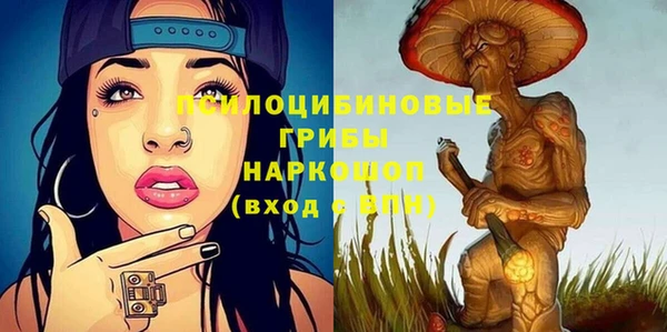мдпв Нязепетровск