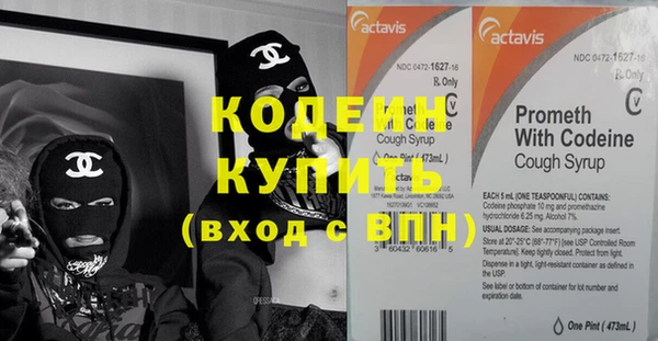 гашик Няндома