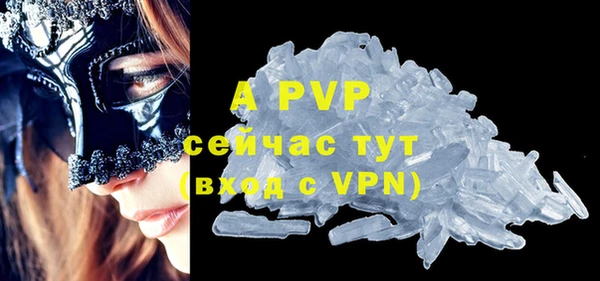 прущие грибы Нягань