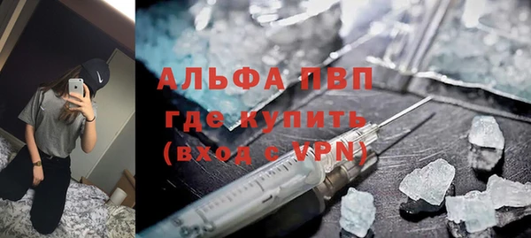 прущие грибы Нягань