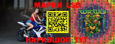 ешки Будённовск