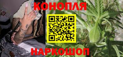 шишки Гусев