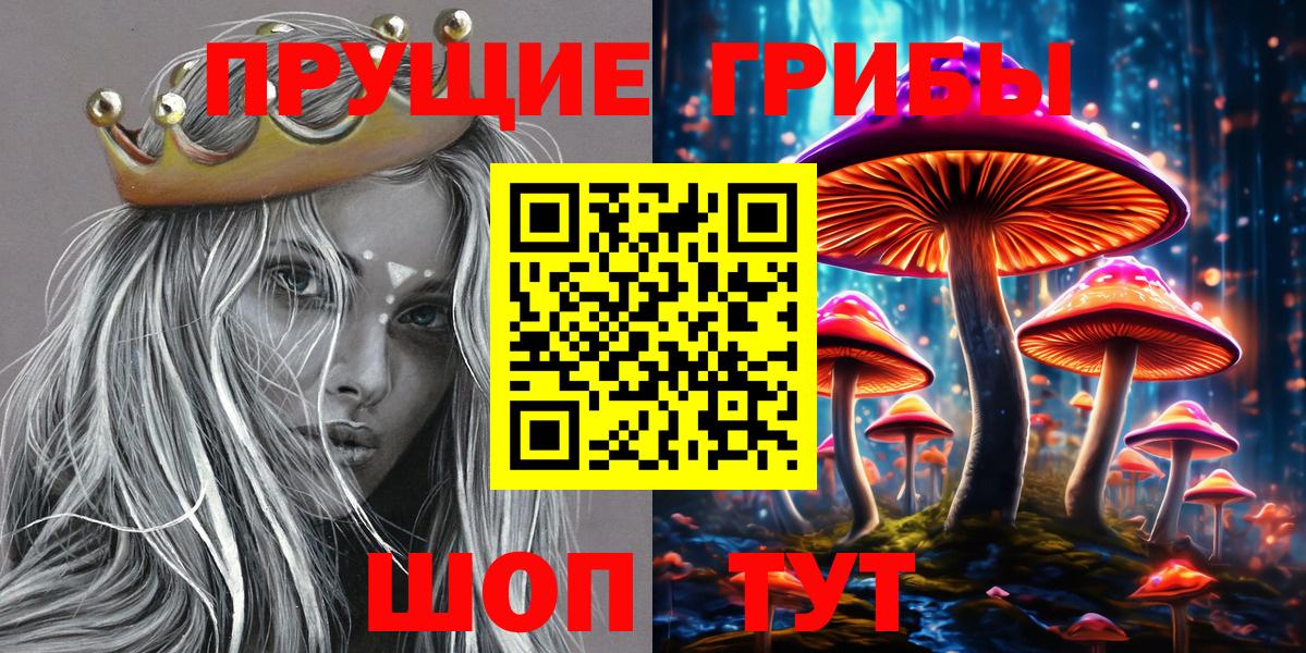 Псилоцибиновые грибы Psilocybine cubensis  Вход с VPN  Галлюциногенные грибы мухоморы  Котельники 