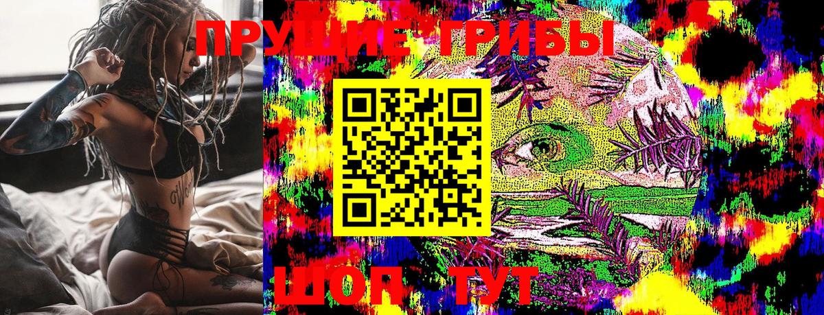 Галлюциногенные грибы Cubensis Котельники