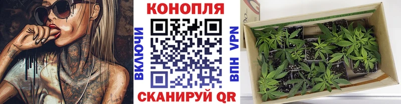 МАРИХУАНА Bruce Banner Котельники