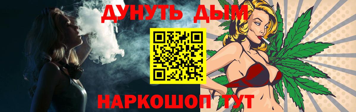 Конопля сатива Котельники